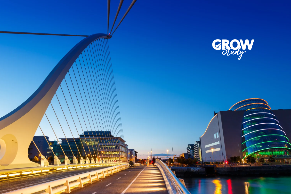 Carreras más demandadas en Irlanda para estudiantes internacionales